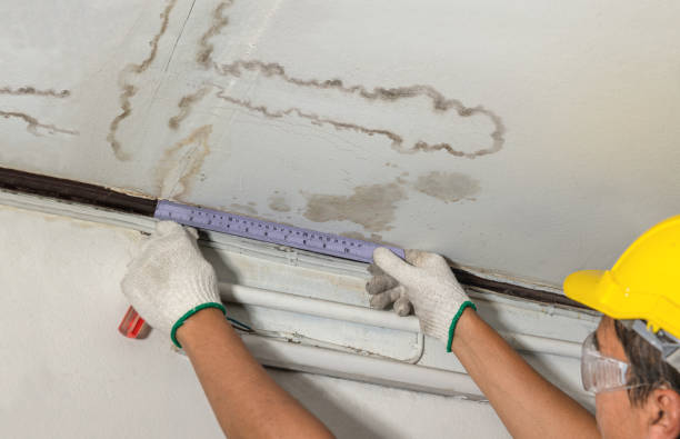 Reliable Water Damage contractor in Crescent City, FL by Water Damage Irwin